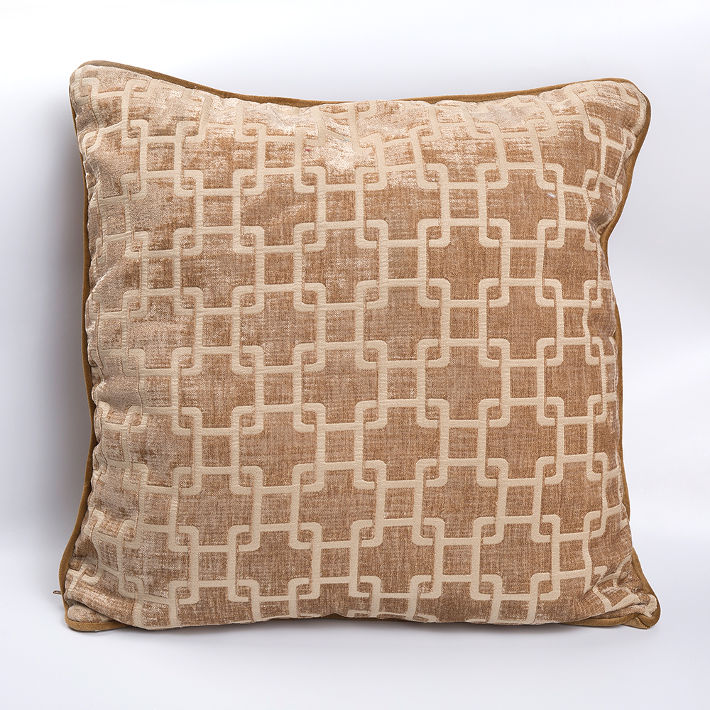 Velvet Cushion